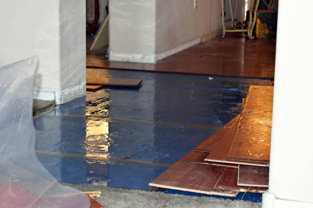 Professional Water Extraction technician working in Kingston, MI